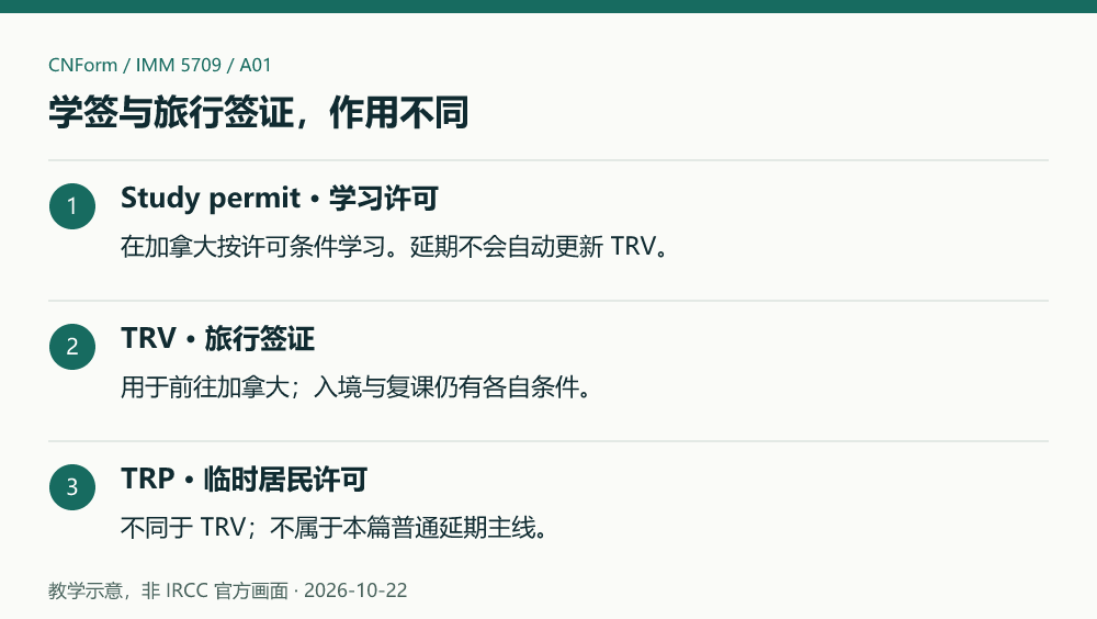 教学示意,非 IRCC 官方画面。学签与旅行签证,作用不同